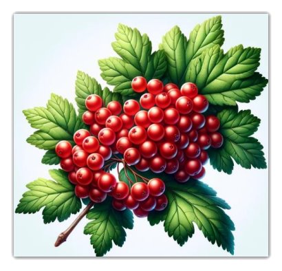 C:\Users\Наталочка\Desktop\DALL·E 2024-03-18 19.54.33 - Create a realistic and natural-looking icon of a viburnum (kalyna), focusing on capturing its true essence and beauty. The icon should feature a vibur.png